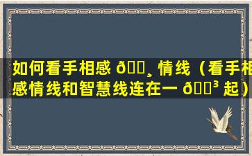 如何看手相感 🕸 情线（看手相感情线和智慧线连在一 🐳 起）